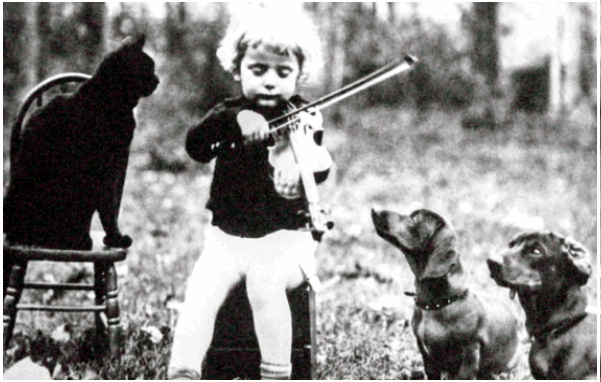 Violin Music Lessons at The Fiddle School in Missoula Montana